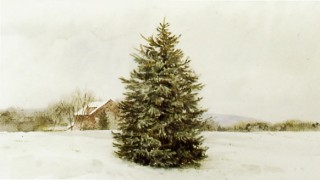 Published From A Watercolor Painting