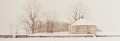 Eight Grades  (Montandon)